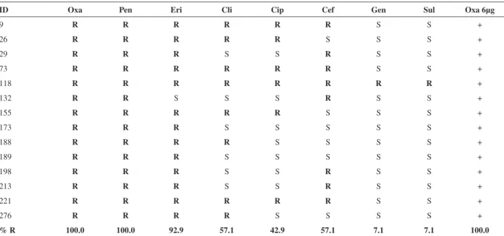 Table 5 - Antimicrobial susceptibility profile detected by disk diffusion test for 14 MRSA-identified health professionals  from a public education hospital, 2007-2008 