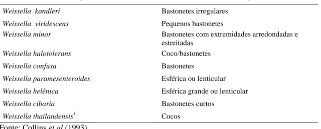 Tabela 2: Características morfológicas de espécies do gênero Weissella 