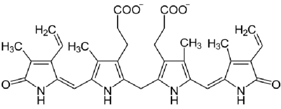 Figura 1 - Estrutura química da molécula de bilirrubina. 