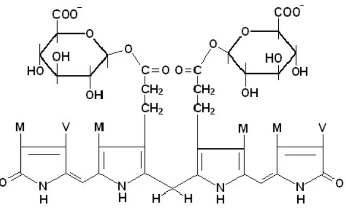 Figura 3 - Fórmula estrutural da bilirrubina conjugada ou diglicuronidada. 