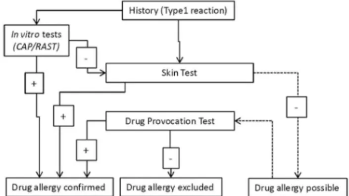 Figure  1  -  Flow  chart  for  the  evaluation  of  type  1  hypersensitivity  drug  reactions.