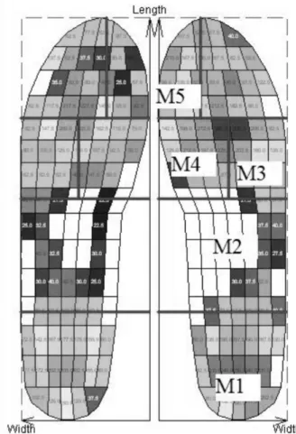 Figure 1 - Masks created in the Creation of Any Mask software (Novel) to  analyze plantar pressure in five plantar areas: M1 – Rearfoot; M2 – Midfoot; 