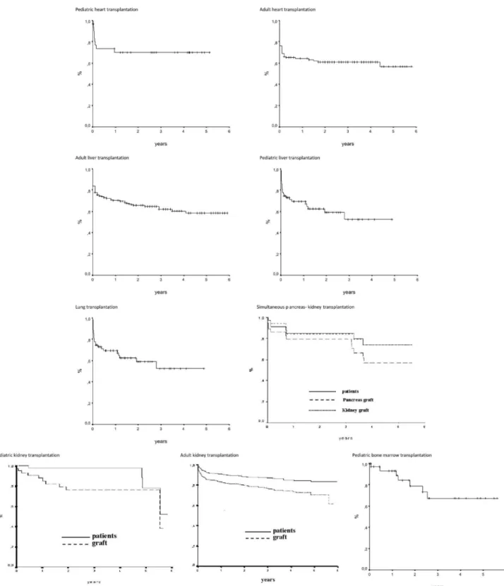 Figure 3 - Kaplan Meier survival curves - (2002 to 2007)