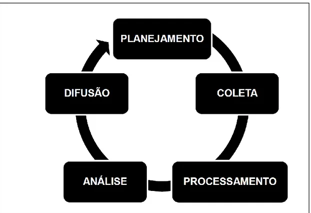 Figura 5: Ciclo de Produção do Conhecimento. Fonte: Turner, 2006. 