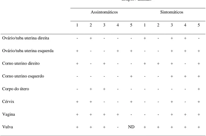 Tabela  1.  Resultados  da  PCR  para  detecção  de  Leishmania  (Complexo  Donovani)  no  sistema genital de cadelas naturalmente infectadas