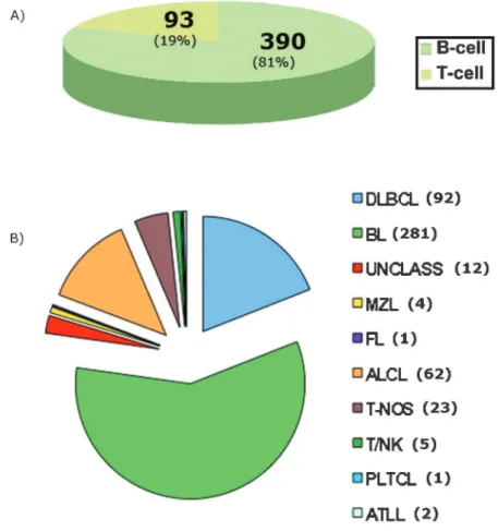 Table 4 - Mature B-cell lymphoma in pediatric patients, distribution by gender and geographical areas for each subtype