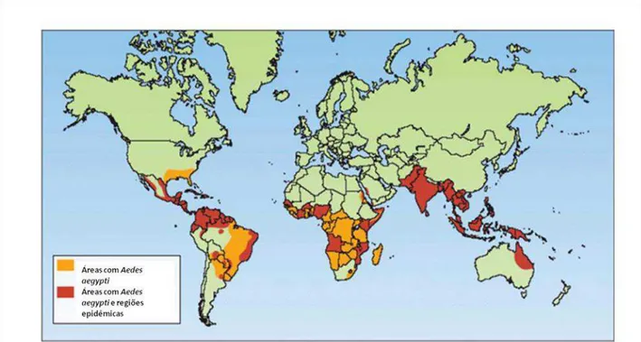 Figura 4- Distribuição Global do mosquito vetor da dengue: As áreas infectadas com o mosquito  vetor da dengue estão em laranja e as áreas com dengue epidêmica estão em vermelho