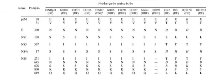 Tabela 2- Resumo das mudanças de aminoácidos entre amostras de genótipos do DENV-2 do  Sudeste Asiático e de vírus de genótipo Americano: algumas alterações de carga estão em itálico,  e  as  mudanças  na  cadeia  lateral  estão  em  negrito