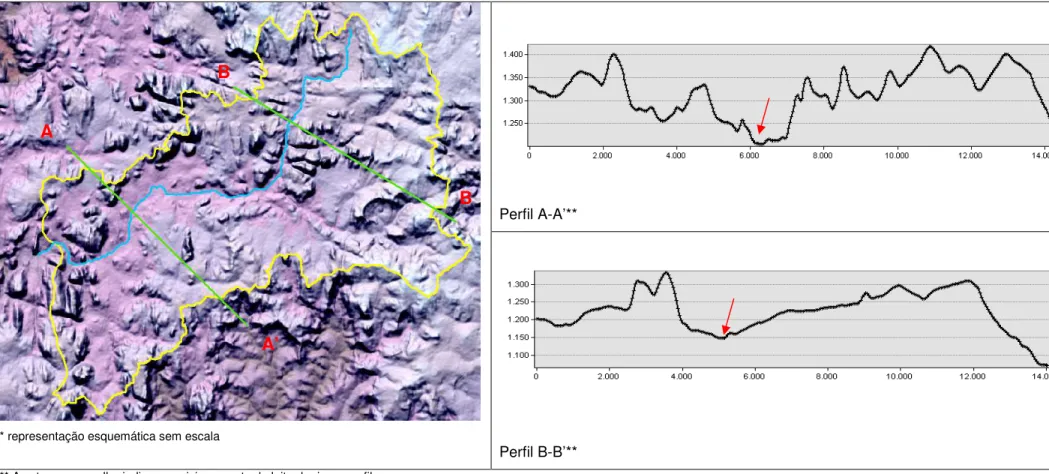 Figura 3.6: Perfis da bacia do alto curso do rio Pardo Pequeno 