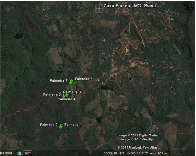 Figura  1.  Imagem  de  satélite  mostrando  o  município  de  Brumadinho/MG  e  o  povoado de Casa Branca