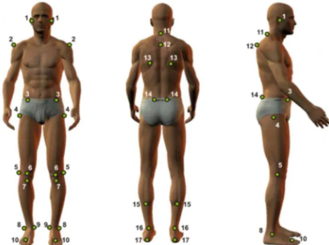 Figure 1 - This igure shows the anatomic points that were visualized. Foot- Foot-note: tragus (1); medium point, acromion (2); anterior-superior iliac spine  (ASIS) (3); femur, greater trochanter (4); knee, articular line (5); patella,  medium point (6); t