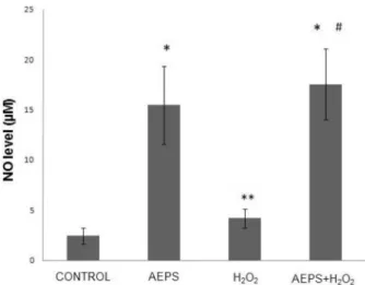 Figure 4 - Nitric oxide production in HUVECs. 
