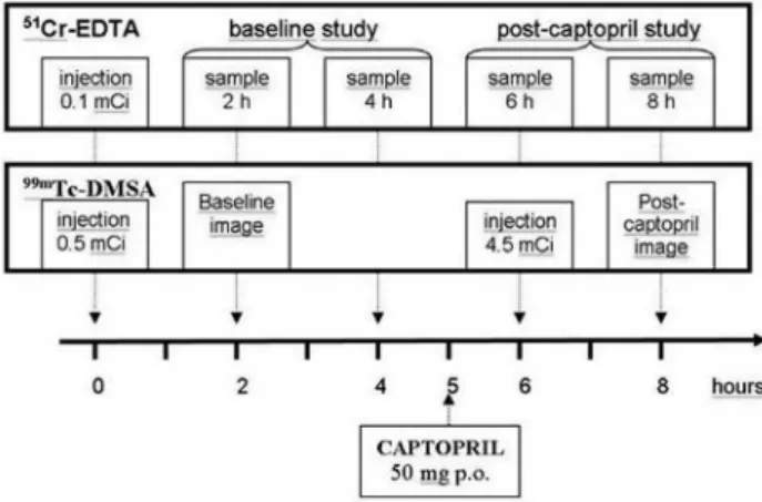 Figure 1 - General sequence of the protocol, including radiopharmaceutical  administration and sample intervals