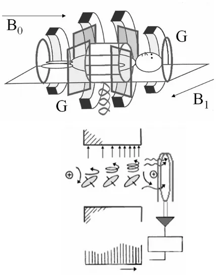Figura 16. Princípio de funcionamento dos aparelhos de ressonância magnética. Um pulso breve de 