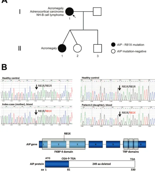 Figure 1 - Genealogy: identiication of a functional AIP mutation that may disrupt the cAMP signaling pathway