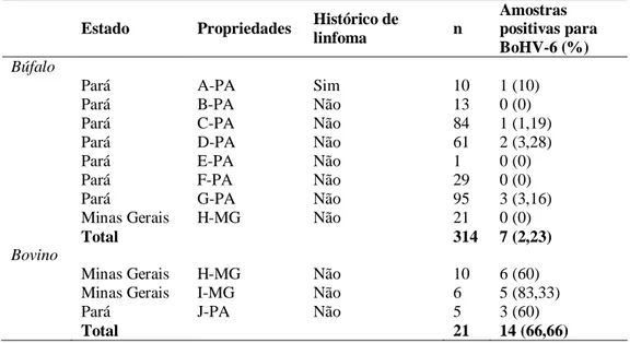 Figura 1. Eletroforese dos produtos da seminested PCR para a região do gene pol (BoHV6-pol-PCR) (A) e  PCR convencional para o gene gB (BoHV6-gB-PCR) (B) do Bovine herpesvirus 6 em amostras de DNA  obtido do sangue total de bubalinos