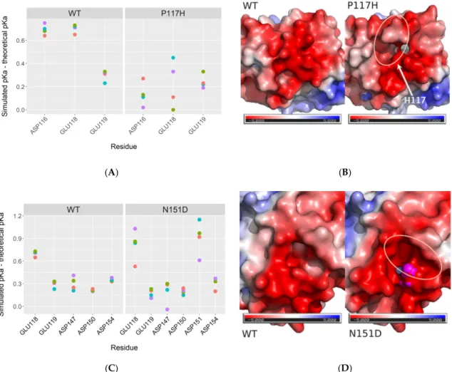 Figure 4. Electrostatics effects of the P117H and N151D mutations. Panels (A,C) present the variations of pKa of the surrounding aspartates and glutamates of P117H and N151D, respectively