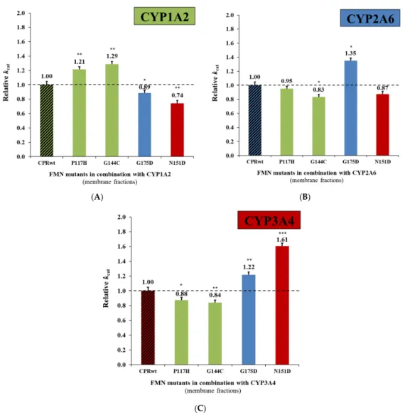 Figure 1. Relative turnover rates (k cat ) (x fold) of the CPR mut :CYP1A2 EROD (A), CPR mut :CYP2A6 C7H  (B), and CPR mut :CYP3A4 DBODF (C) activities, normalized by the k cat  demonstrated by CPR wt /CYP  (determined  in  membrane  fractions;  technical 
