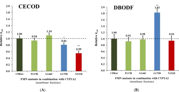 Figure 2.  Relative turnover rates  (k cat )  (x  fold)  of the CPR mut :CYP1A2  CECOD  (A), and  DBODF  (B)  activities,  normalized  by the  k cat   demonstrated  by  CPR wt /CYP  (determined  in  membrane  fractions)  (technical  replicates  N  =  3).  