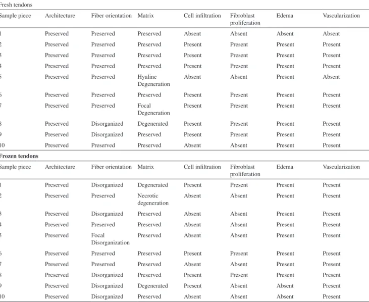 Table 2 - Histological analysis of fresh and frozen semitendinous tendons 
