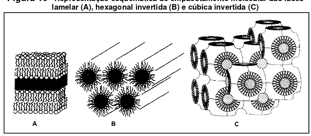 Figura 10  - Representação esquemática do empacotamento molecular das fases  lamelar (A), hexagonal invertida (B) e cúbica invertida (C) 