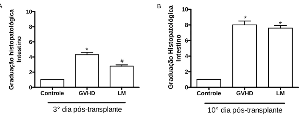 Figura 10. Efeito do tratamento com LM na graduação histopatológica intestinal no 3° e  10°  dia  após  o  transplante