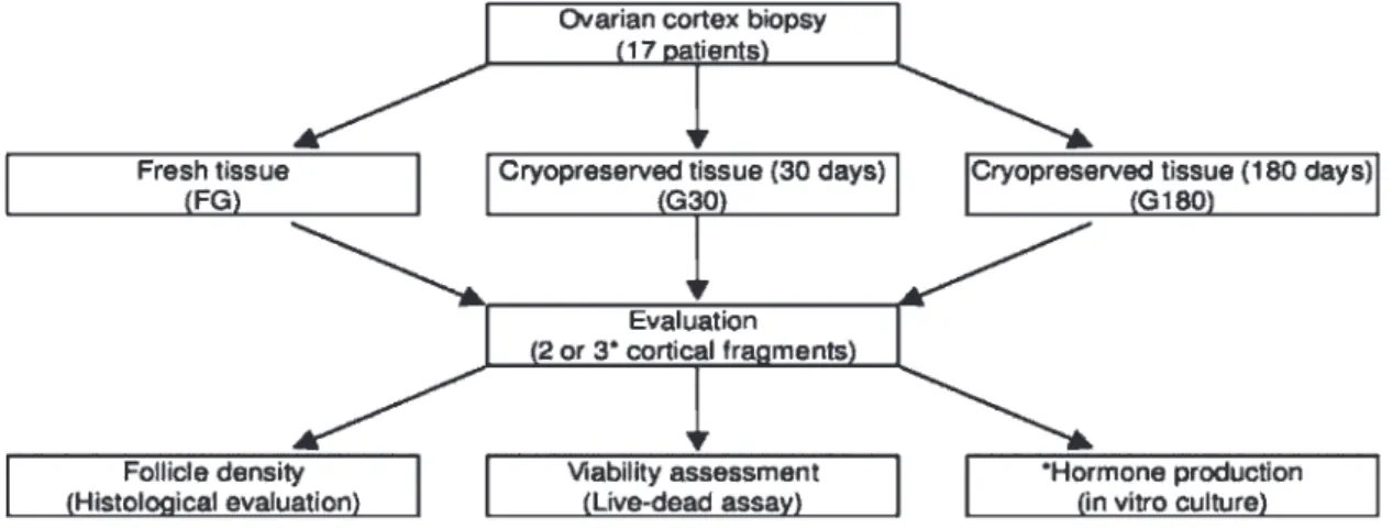 Figure 1 - Study design.