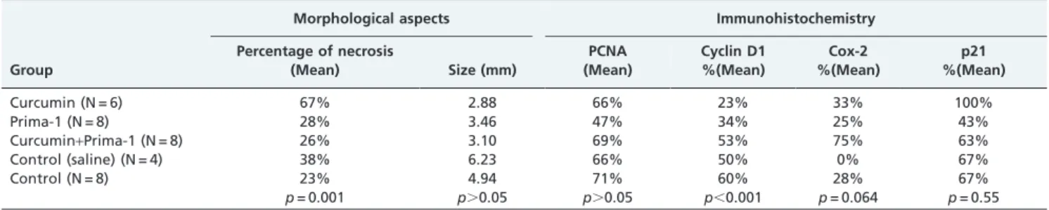 Table 1 - Summary of the findings for the different groups of animals treated with curcumin, Prima-1, or curcumin + Prima-1 and the control animals.