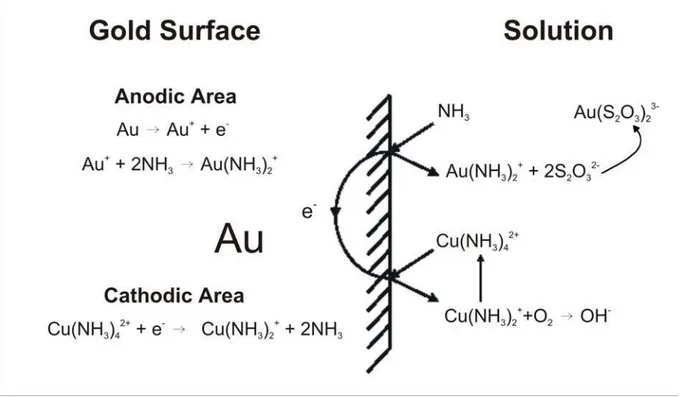 Figure 2.5 Dissolution mechanism proposed by Yen et al (2001) 