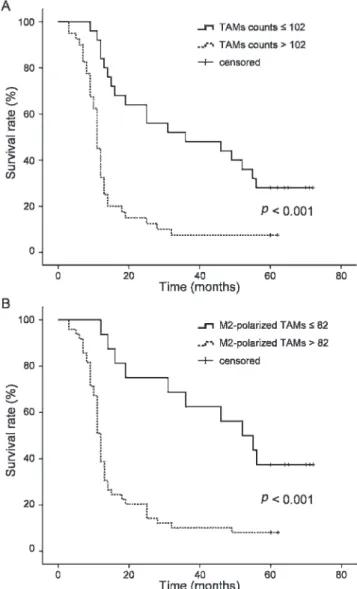 Table 2 - Hazard ratios (HR), 95% confidence interval (CI) and p-value for the 65 patients with lung