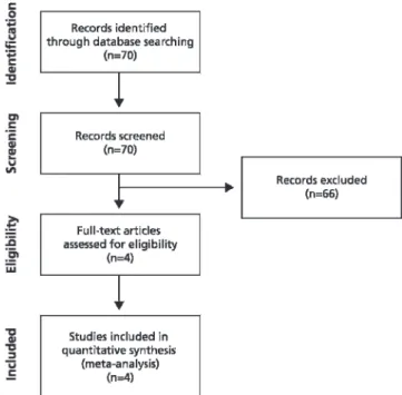 Figure 1 - The PRISMA flow diagram.
