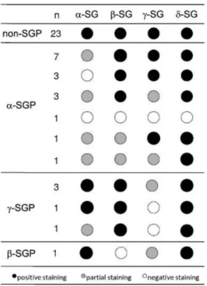 Figure 1 - Patterns of immunohistochemical findings in the non- non-SGP, a-SGP, c-SGP, and b-SGP groups