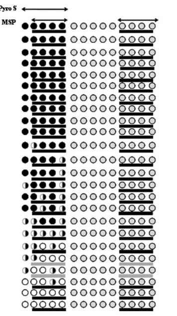 Figure 1 - Comparison of the MGMT promoter methylation status of GBM cases analyzed using MSP and PyroS