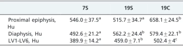Table 4 - Computed tomography analyses of the femur and lumbar vertebrae (LV1-LV6) after 60 days.