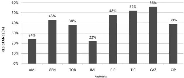 Table 1 - Aminoglycoside susceptibility profiles according to the disk diffusion method and MIC results (E-test) for 250 P