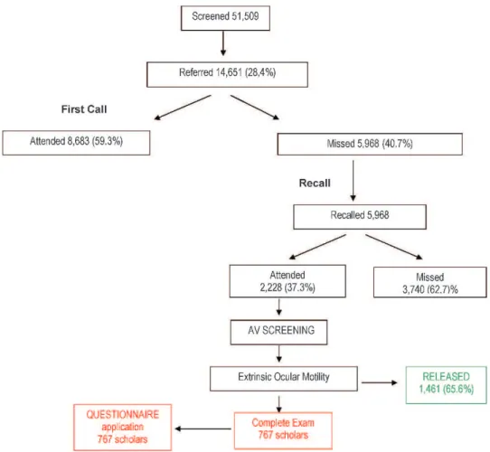 Figure 1 - Flow chart of the Eye-to-Eye Campaign attendance – Guarulhos 2006.