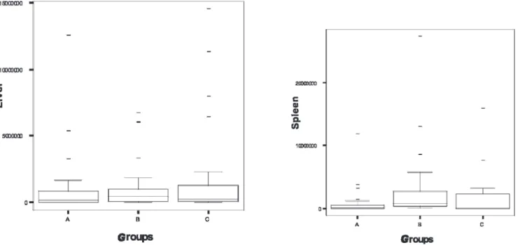 Figure 3 - Box-Plots for Peritoneum and Lung tissue cultures. Groups: A = no pneumoperitoneum, B = pneumoperitoneum, and C = pneumoperitoneum + mechanical ventilation.