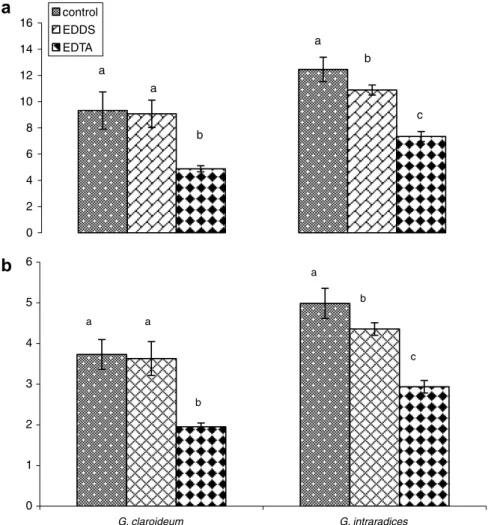 Fig. 1. Percentage of mycorrhizal colonisation for G. claroideum and G. intraradices in S