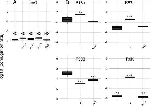 Figure  3.5.  Effect  of  a  co-resident  mutated  F  plasmid  (ΔtraG)  impaired  for  mating  pair  stabilization: A) Conjugation rates of the mutant  ΔtraG plasmid; B) Conjugation rates of other  plasmids having F or ΔtraG as co-resident plasmids