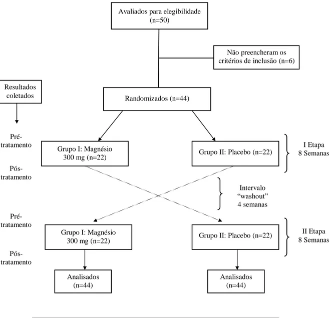 FIGURA 3: Organograma com o delineamento do estudo. 