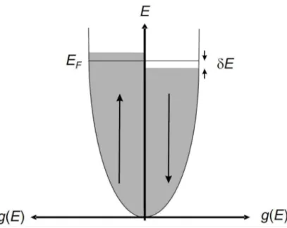 Figura 1.1: Densidade de estados para elétrons com spin-up e spin-down exibindo uma separação de spins espontânea sem a aplicação de um campo magnético externo
