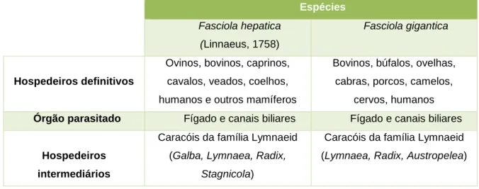Tabela 1- Hospedeiros e microbiótopo de Fasciola hepatica e Fasciola gigantica, adaptado de Taylor,  Coop &amp; Wall (2016)