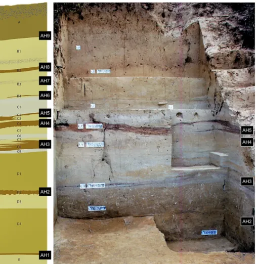 Fig. 2 Haesaerts ’ s 1993 trench. Left: stratigraphic log. Right: photo of the labeled trench walls