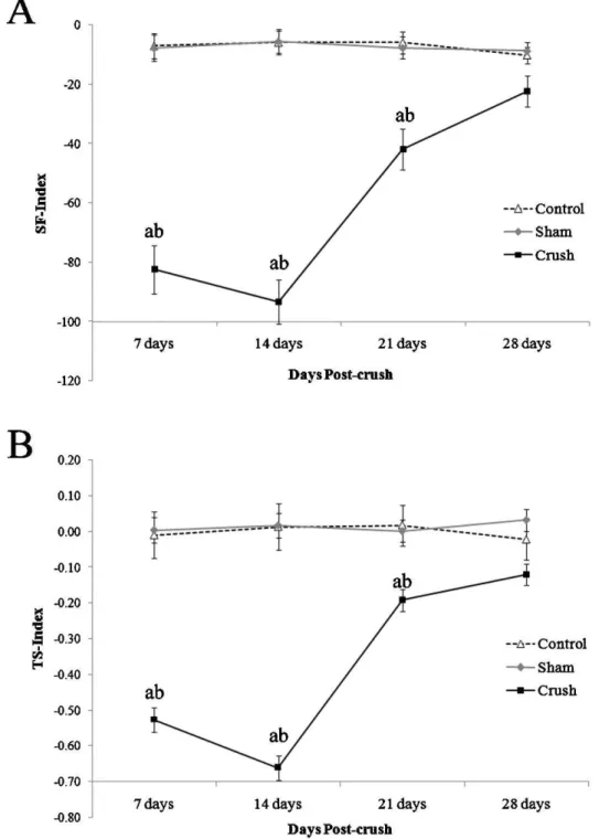 Figure 2 - Comparison of functional recovery determined by the Sciatic Functional Index (SFI; A) and the Toe Spread Index (TSI; B) on postoperative days 7, 14, 21, and 28