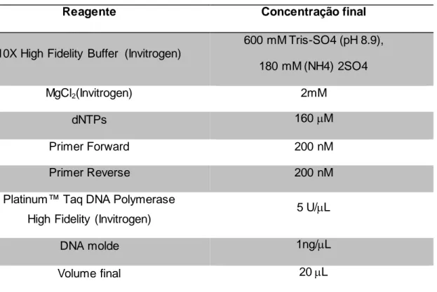 Tabela 02: Reagentes e as concentrações utilizadas no mix da reação de PCR para a  amplificação das sequencias de carbapenemases 