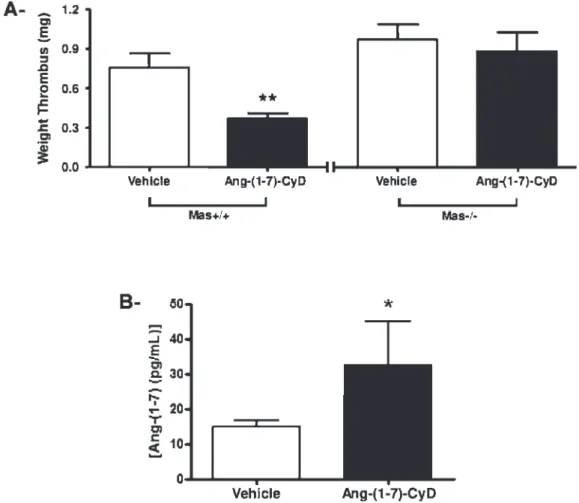 Figure 2 - The antithrombotic effect of Ang-(1-7)-CyD is dependent on Mas. A) Ang-(1-7)-CyD promoted a reduction in FeCl 3 solution- solution-induced thrombus weight in Mas +/+ mice; this effect was absent in Mas -/- mice