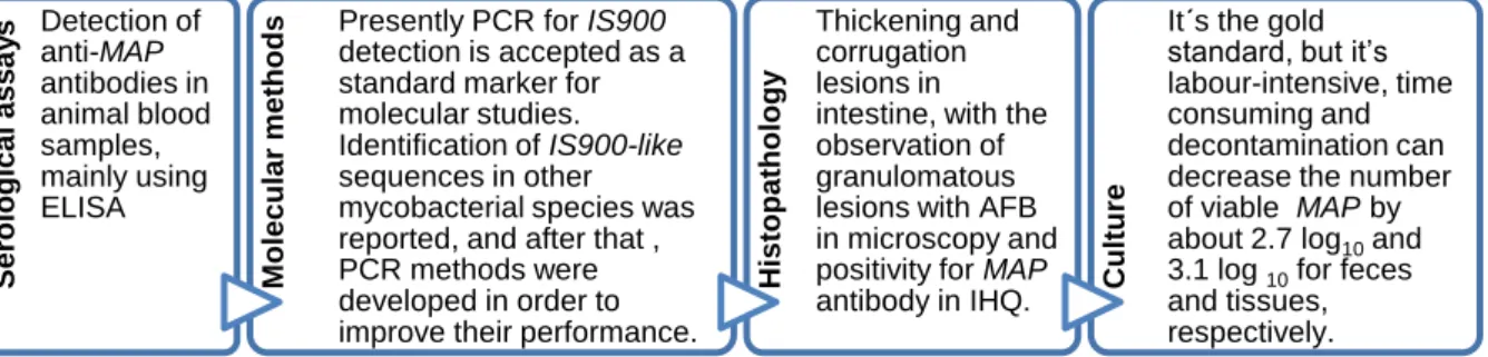 Fig. 1.2 - Summary of MAP diagnosis methods. AFB - Acid Fast Bacillus, IHQ - Immunohistochemistry