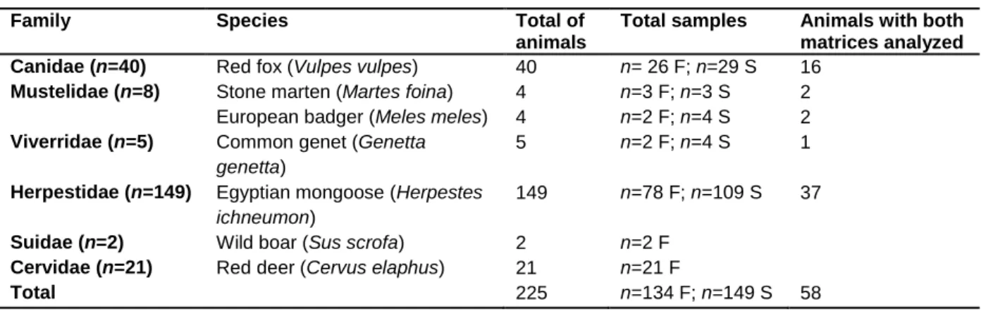 Table 2.1 - Family, species, number and type of animal specimens processed for MAP detection