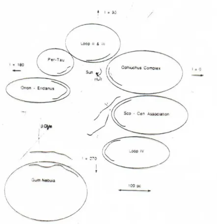 Figura 1.2: Representa¸c˜ ao esquem´atica das bolhas pr´oximas ao Sol, na vis˜ ao de Welsh et al