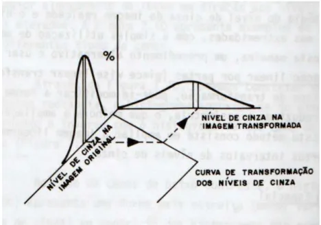 Figura 7 - Tranformação dos níveis de cinza de uma cena  Fonte: Schowengerdt, 1983 apud Novo, 1992.